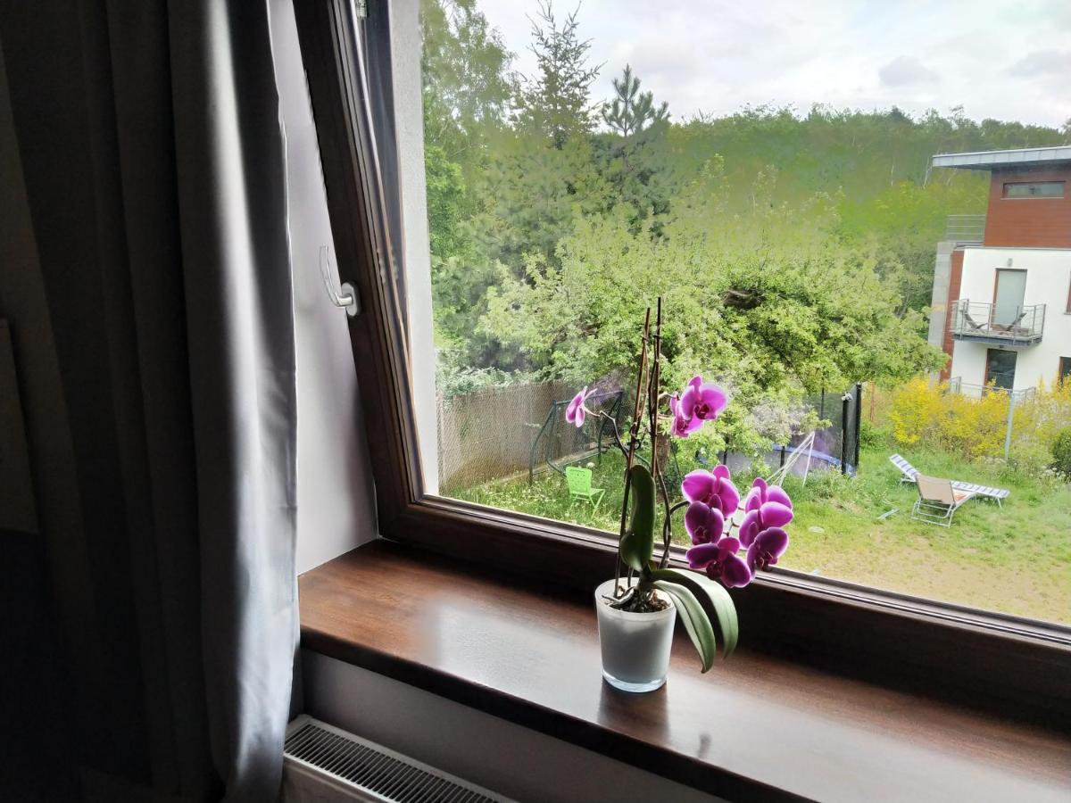 Apartment Z Tarasem